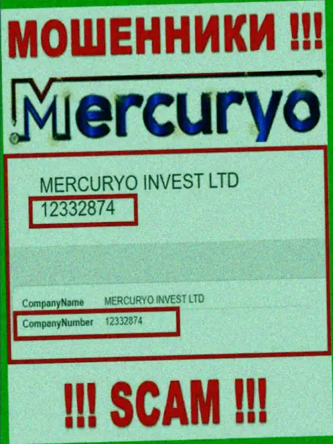 Номер регистрации противозаконно действующей компании Меркурио - 12332874