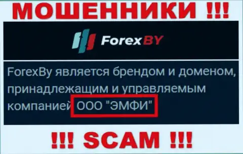 На официальном сайте Forex BY написано, что данной компанией владеет ООО ЭМФИ