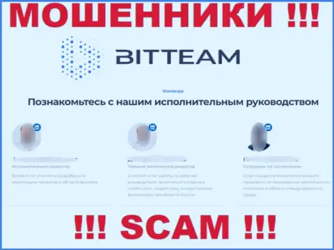 Верить инфе BIT TEAM GROUP LTD о прямых руководителях весьма рискованно, так как это фиктивные люди