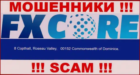 Зайдя на web-портал ФХКор Трейд можно заметить, что зарегистрированы они в оффшоре: 8 Copthall, Roseau Valley, 00152 Commonwealth of Dominica - это АФЕРИСТЫ !!!