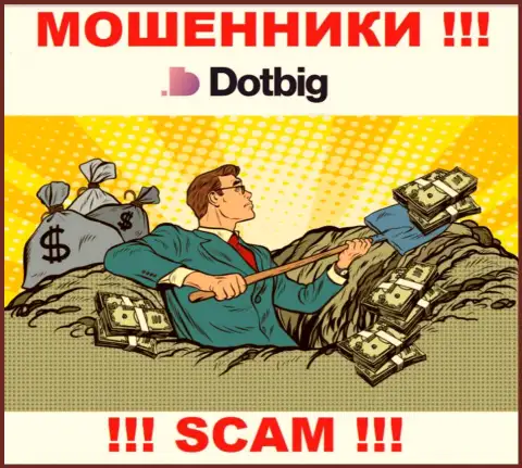 DotBig LTD действует только лишь на прием денежных средств, поэтому не нужно вестись на дополнительные финансовые вложения