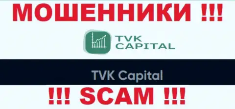 TVK Capital - это юридическое лицо интернет-мошенников ТВК Капитал