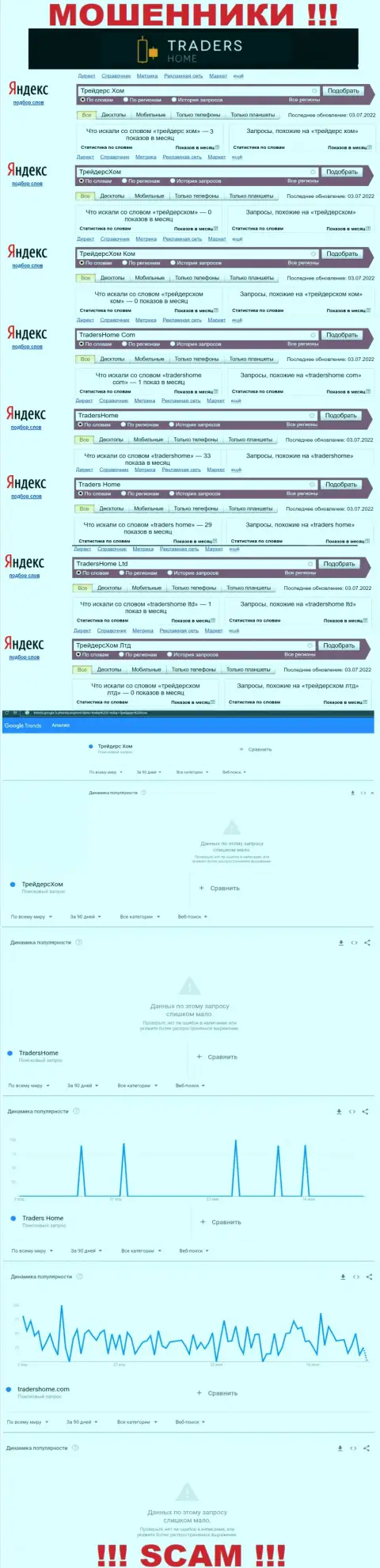 Сколько раз интересовались мошенниками ТрейдерсХом в поисковиках инета ?