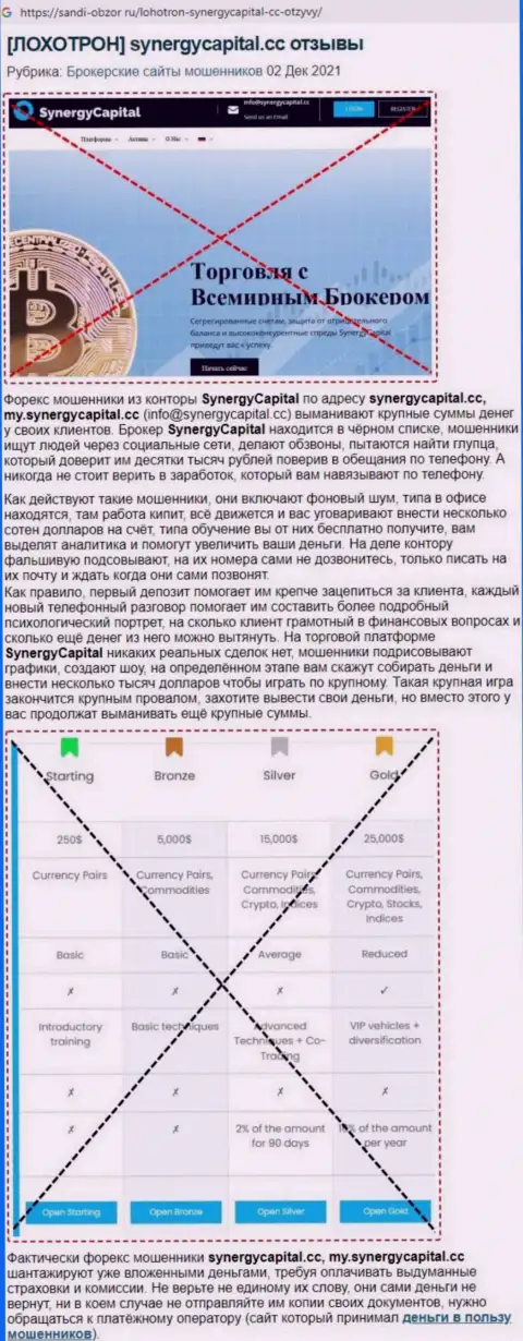 Обзор неправомерных деяний Synergy Capital с описанием всех показателей противоправных махинаций