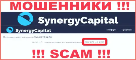 Регистрационный номер конторы SynergyCapital Top: REG 1070 LLC 2021