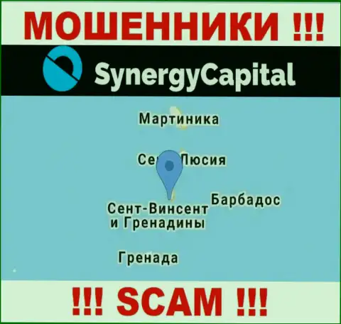 У себя на ресурсе SynergyCapital указали, что зарегистрированы они на территории - Kingstown, St. Vincent and the Grenadines