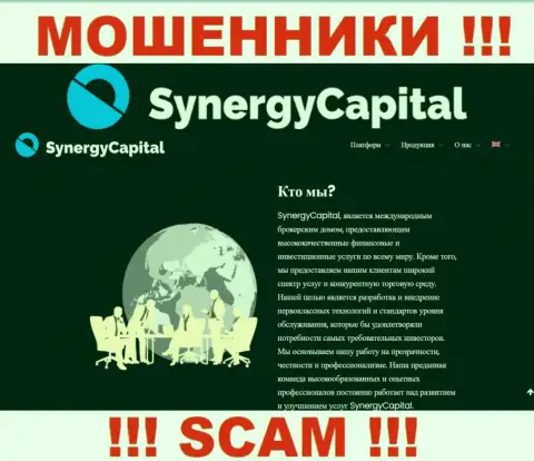 Что касательно вида деятельности SynergyCapital Top (Брокер) - это явно развод