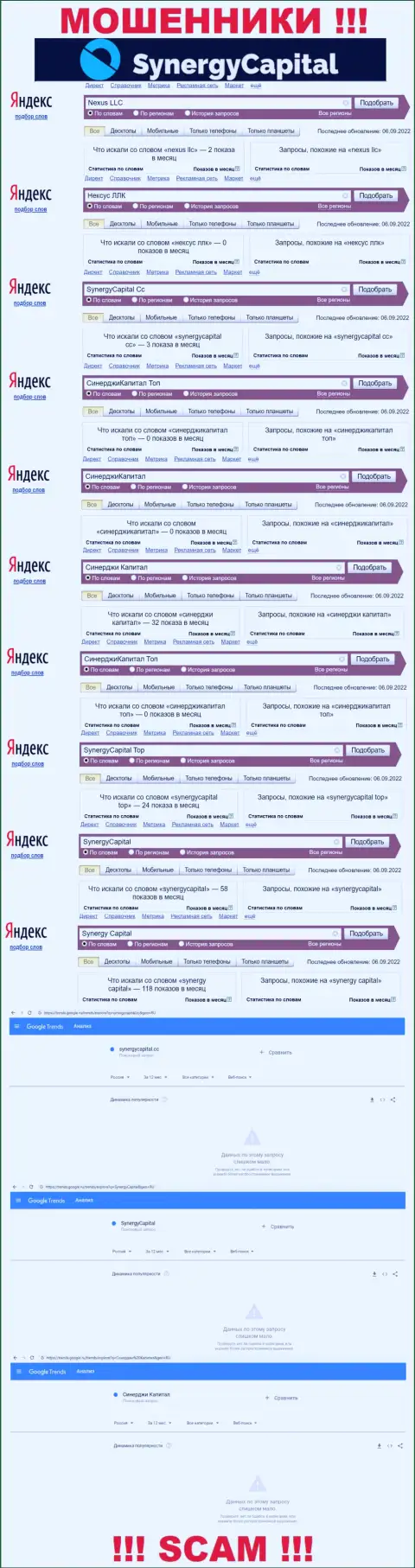 Статистические данные поисковых запросов по бренду Synergy Capital во всемирной паутине