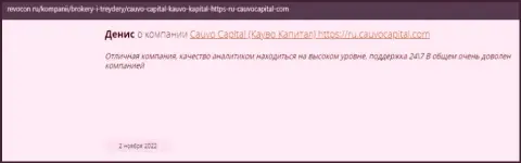 Дилинговая организация Cauvo Capital представлена в честном отзыве на сайте Ревокон Ру